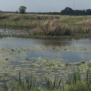 Meet your Posher, Lorna